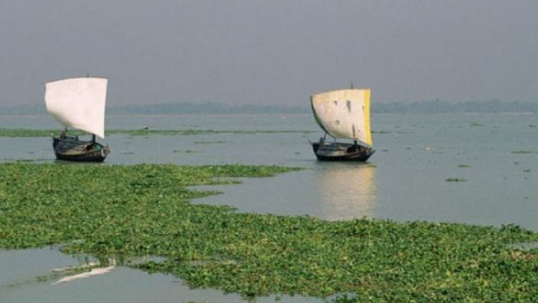 বর্ষায় অপরূপ চলনবিল
