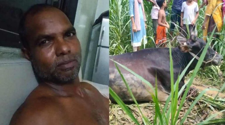 বেলকুচিতে গরু ধর্ষনের অভিযোগ তিন সন্তানের জনকের বিরুদ্ধে