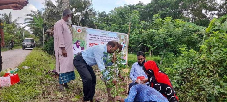 উজিরপুরে ১ হাজার গাছের চারা রোপনের উদ্বোধন করেন – ইউএনও